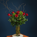 CLASSIC ROSES