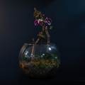 FISH BOWL ORCHID
