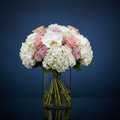 SOFT BOUQUET
