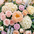 PASTEL COLORS
