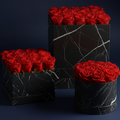 Premium PRESERVE ROSES