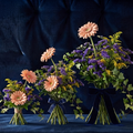 LOOSE BOUQUET