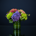 HYDRANGEAS MIX