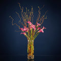 FIORI
