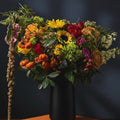 TIMELESS ABUNDANCE